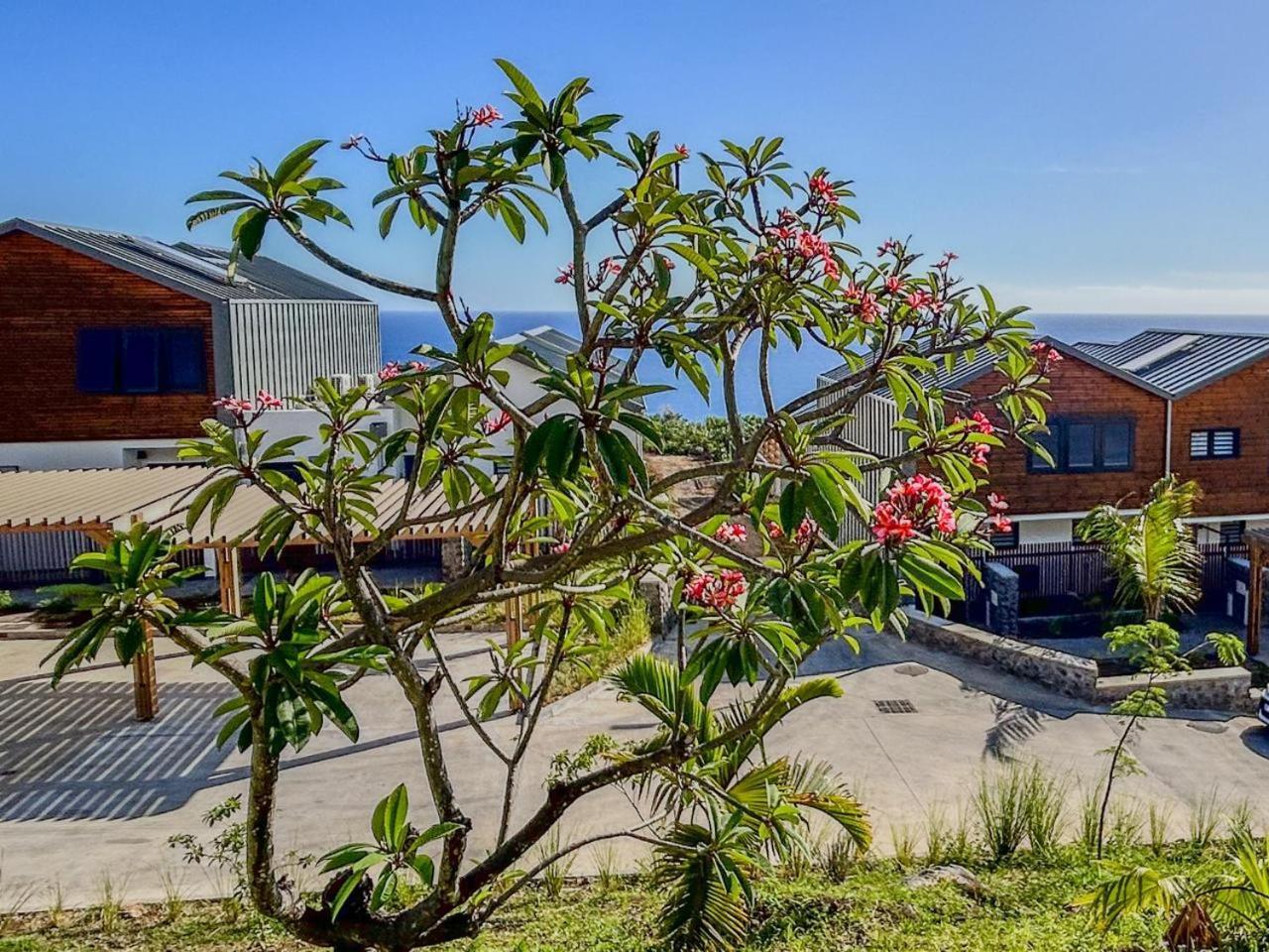 Appartement Le Reve Bleu Grand Anse à Petite Île Extérieur photo