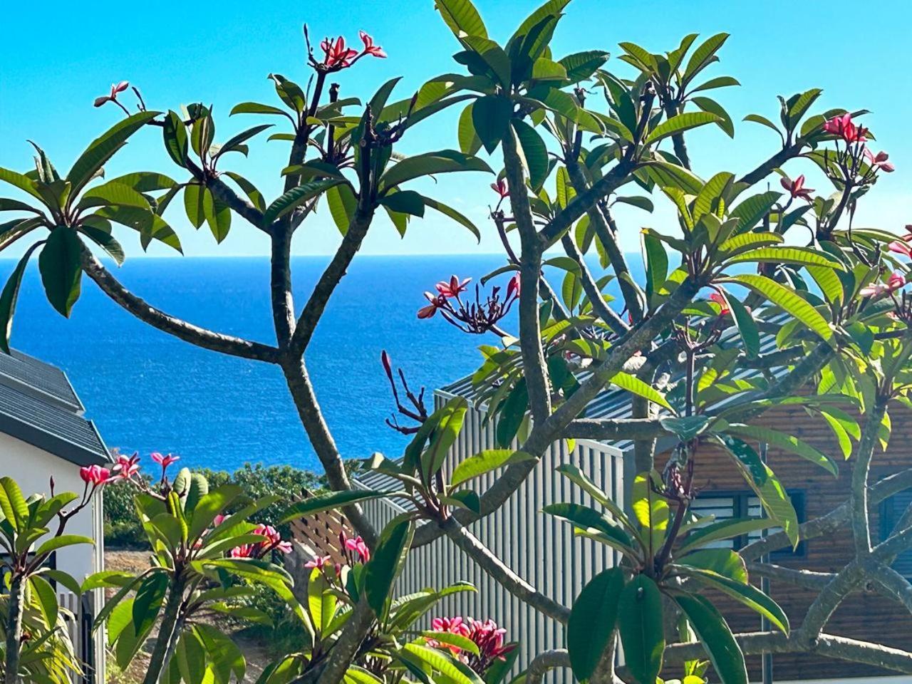 Appartement Le Reve Bleu Grand Anse à Petite Île Extérieur photo